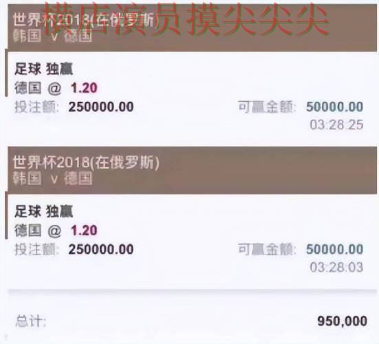 世界杯实时直播期间热门世界杯投注平台推荐盘点与直播入口分析 世界杯实时直播期间热门世界杯投注平台推荐盘点与直播入口分析